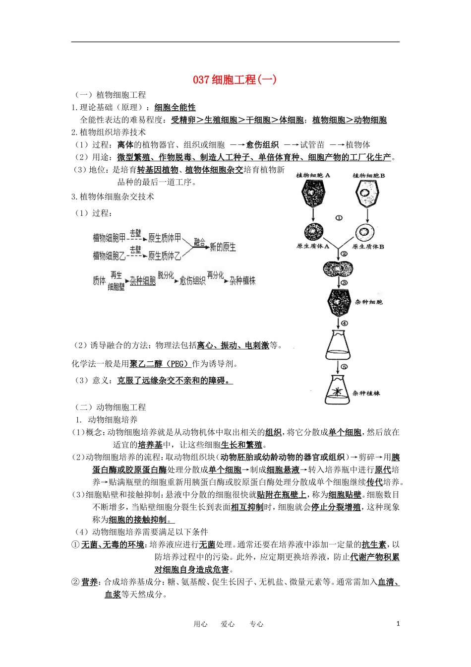 河北省广平一中高三生物总复习学案 037 细胞工程（一）（艺术班）_第1页