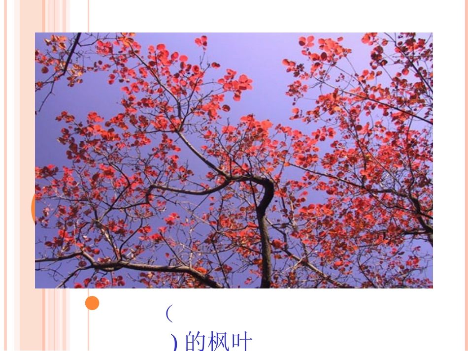 蓝色的树叶1_第2页