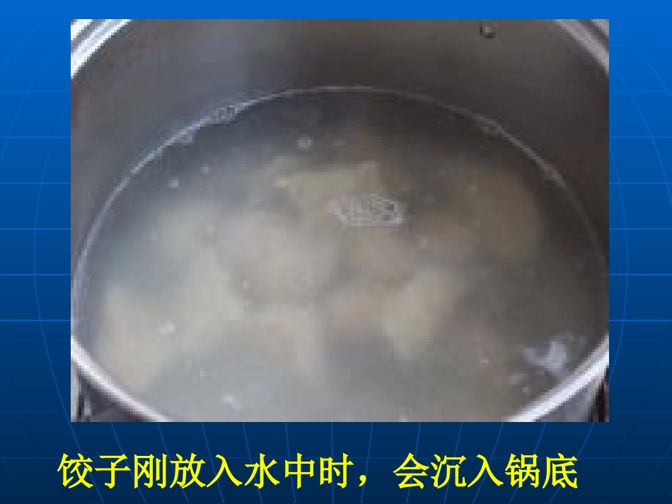 3.研究物体的浮沉条件_第2页