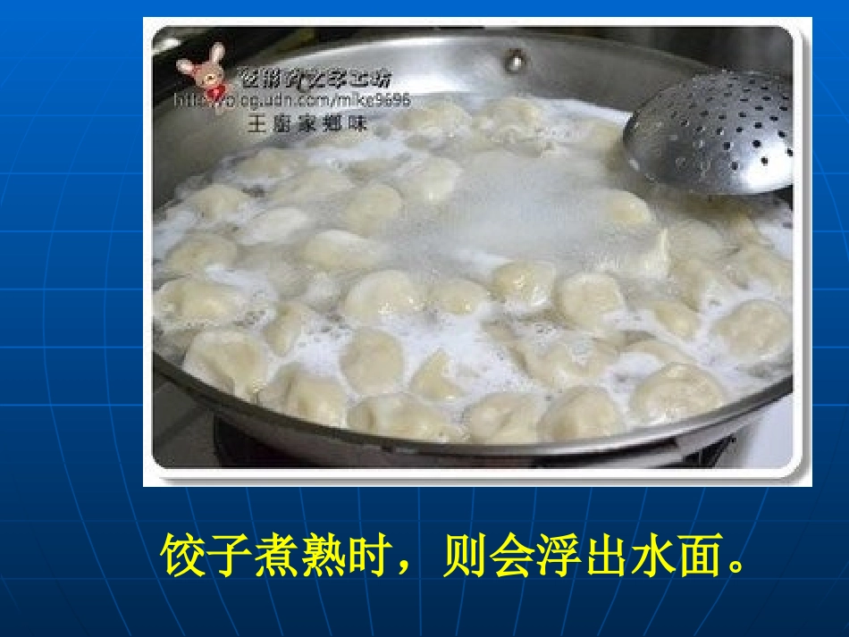 3.研究物体的浮沉条件_第3页