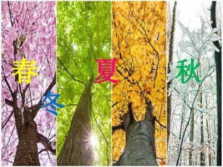 (部编)人教2011课标版一年级上册《秋天》课件