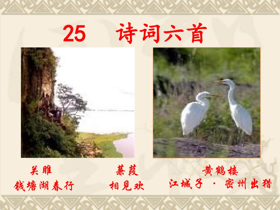 25--诗词六首_第1页