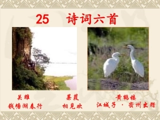 25--诗词六首