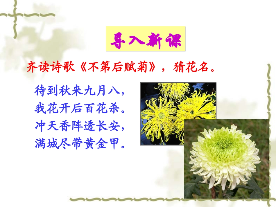 19生物入侵者讲_第1页