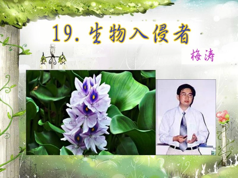 19生物入侵者讲_第3页