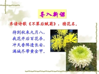19生物入侵者讲