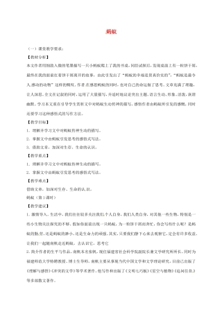 湖南益阳市八年级语文上册 第4课《蚂蚁》教案 北师大版-北师大版初中八年级上册语文教案