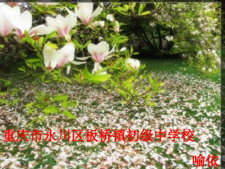 己亥杂诗(其五)-(3)_第1页