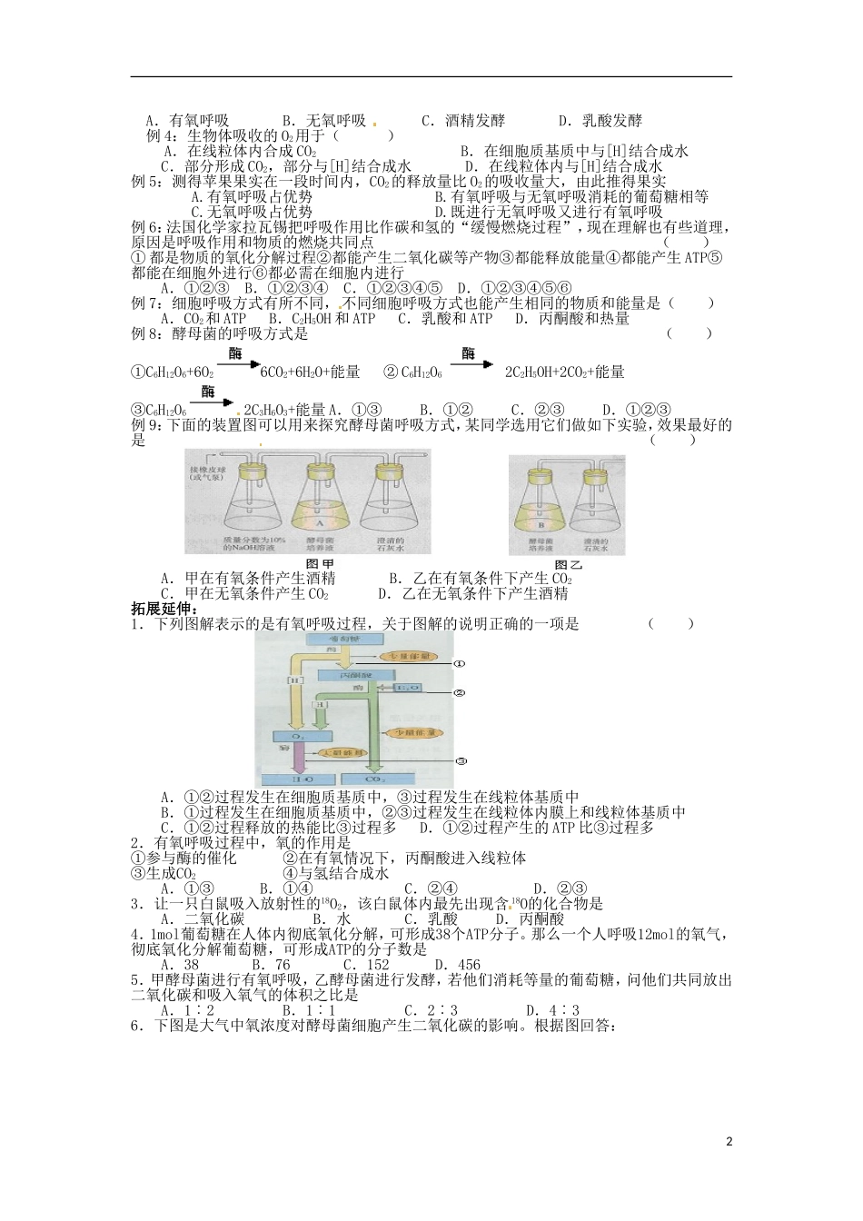 河北省邯郸四中高二生物《5.3 ATP的主要来源 细胞呼吸》学案_第2页