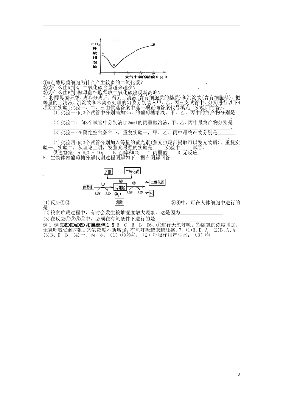 河北省邯郸四中高二生物《5.3 ATP的主要来源 细胞呼吸》学案_第3页