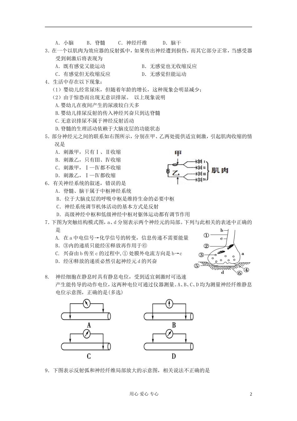 河北省唐山市高中生物 第2章 第1节 通过神经系统的调节（第2课时）学案 新人教版必修3_第2页