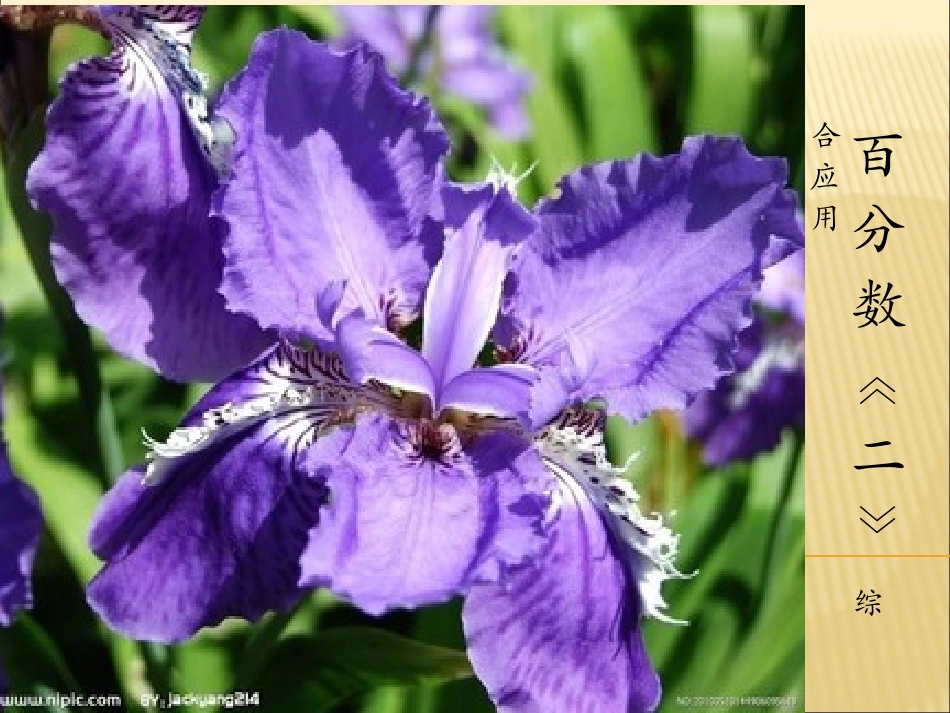 百分数《2》_第1页