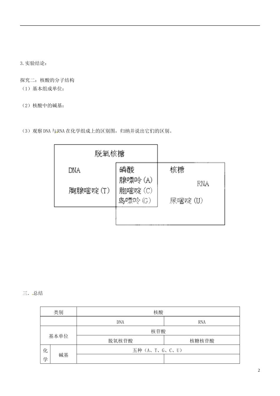 海南省海口市第十四中学高中生物 第二章 第3节 遗传信息的携带者导学案 新人教版必修1_第2页