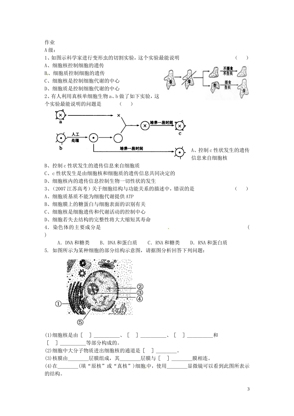 海南省海口市第十四中学高中生物 第三章第3节 细胞核 系统的控制中心导学案 人教版_第3页