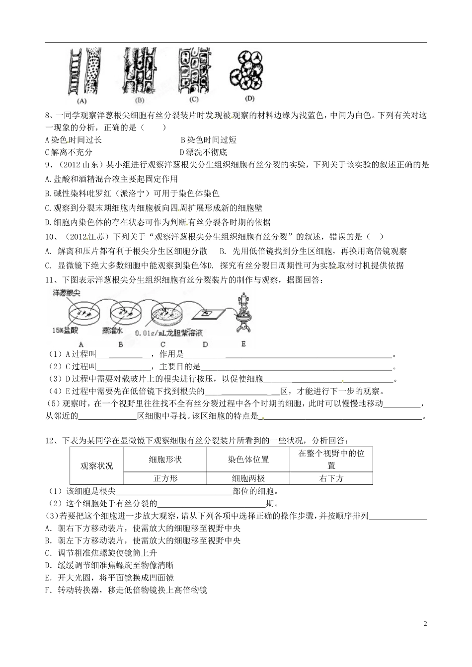 广东省佛山市禅城实验高中高二生物 实验《课题5观察根尖分生组织细胞的有丝分裂》学案 新人教版_第2页