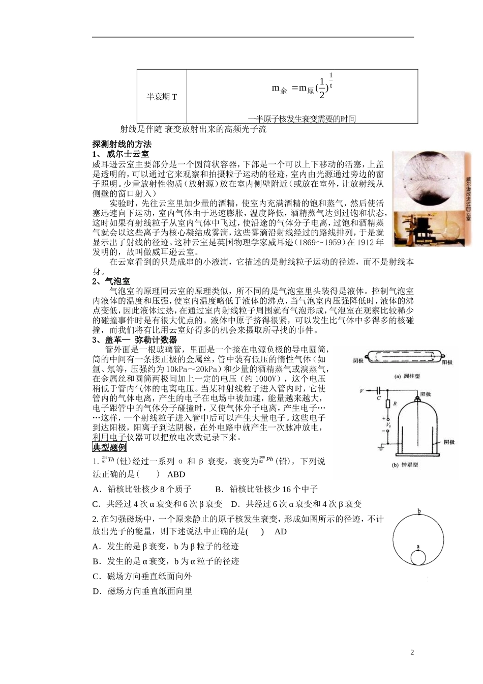 湖北省咸宁市鄂南高级中学高二物理 优质预习全案 天然放射现象（A班）新人教版_第2页