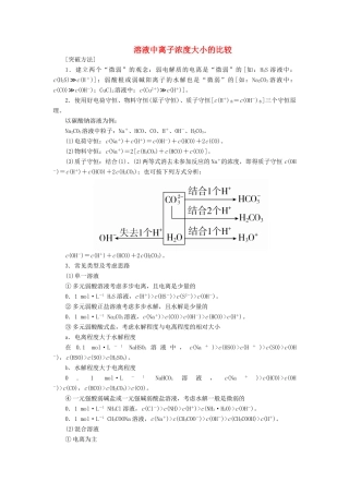 高考化学三轮冲刺 最后30天之考前争分系列 热点突破五 溶液中离子浓度大小的比较学案-人教版高三全册化学学案