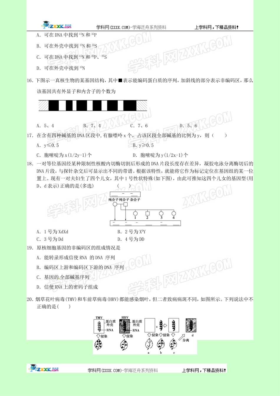 生物：第3章《基因的本质》单元模拟试题(1)(新人教版必修2)_第3页