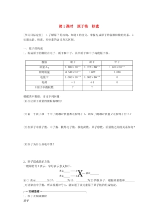 高中化学 第1章 原子结构与元素周期律 1.1.1 原子核 核素学案 鲁科版必修2-鲁科版高一必修2化学学案