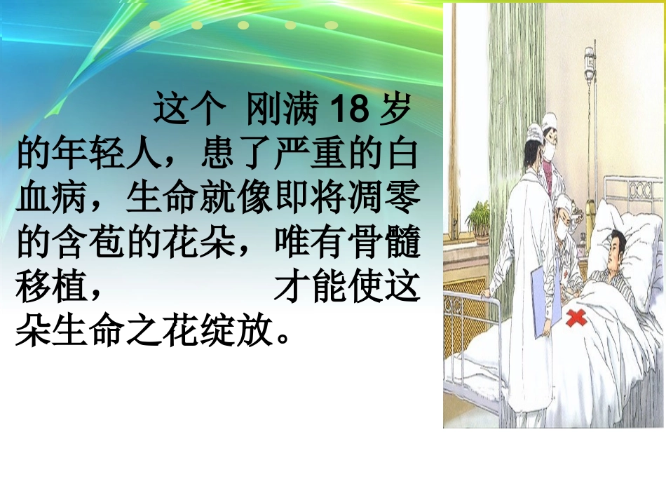 跨越海峡的生命桥ppt_第3页