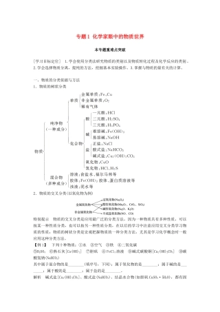 高中化学 专题1 化学家眼中的物质世界本专题重难点突破学案 苏教版必修1-苏教版高一必修1化学学案