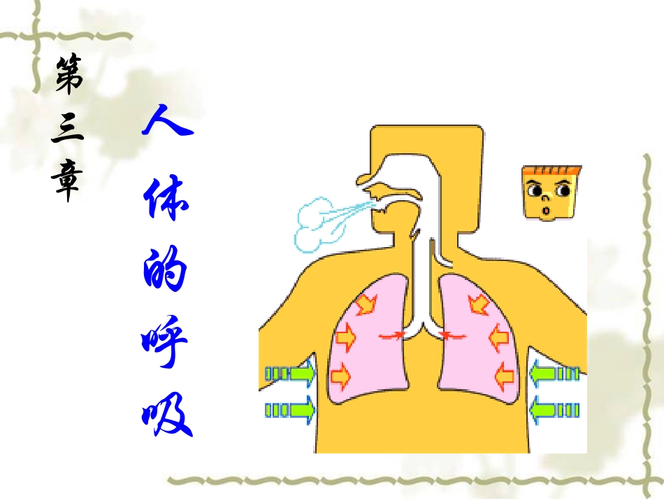 呼吸道对空气的处理_第1页