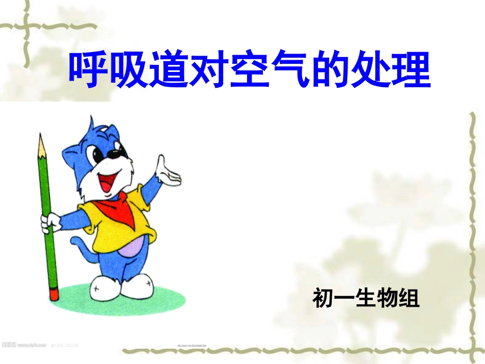 呼吸道对空气的处理_第2页