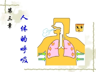 呼吸道对空气的处理