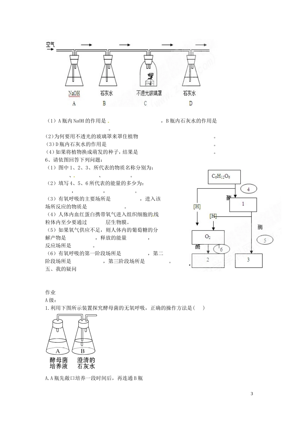 海南省海口市第十四中学高中生物 第五章第3节 ATP的主要来源 细胞呼吸（一）导学案 人教版_第3页