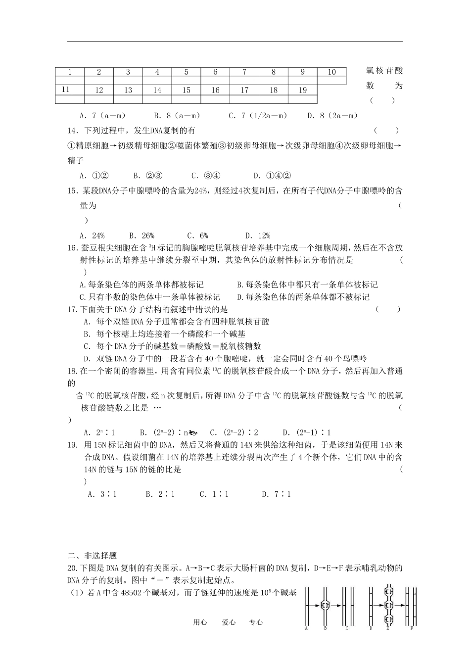 河北省张家口一中高一生物 3.3《DNA的复制作业》（实验班）_第2页