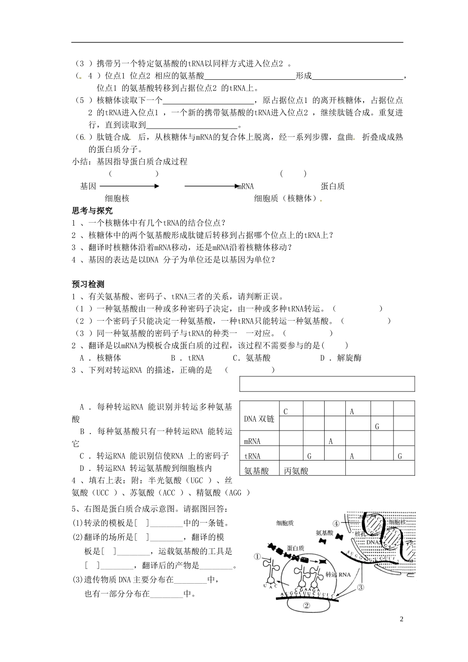 湖北省荆州市监利县第一中学高一生物《第四章 第1节  基因指导蛋白质的合成（第2学时）》导学案 新人教版_第2页