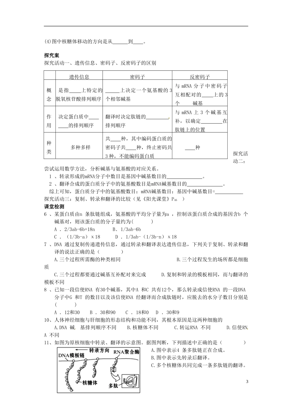 湖北省荆州市监利县第一中学高一生物《第四章 第1节  基因指导蛋白质的合成（第2学时）》导学案 新人教版_第3页