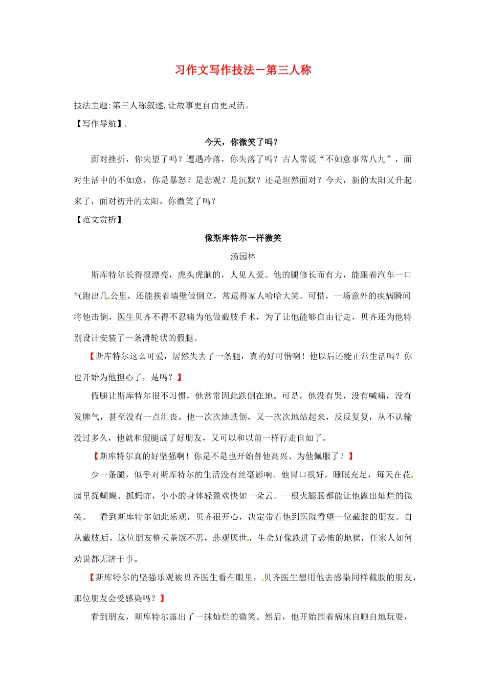 辽宁省凌海市石山初级中学中考语文 习作文写作技法 第三人称复习教案_第1页