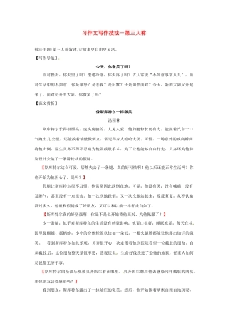 辽宁省凌海市石山初级中学中考语文 习作文写作技法 第三人称复习教案
