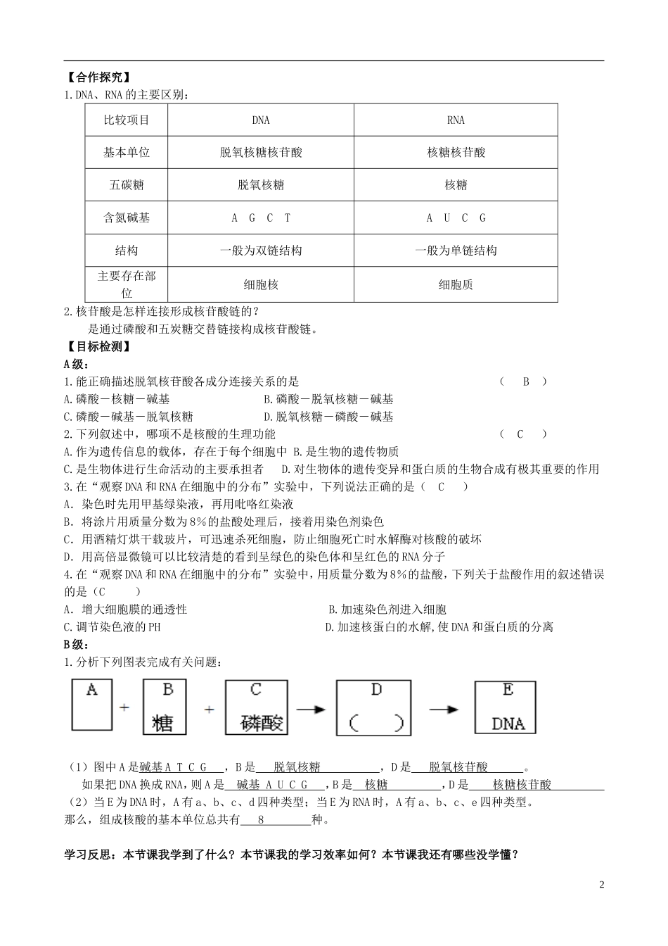 湖南省隆回县第二中学高中生物 第二章 遗传信息的携带者核酸导学案 新人教版必修1_第2页