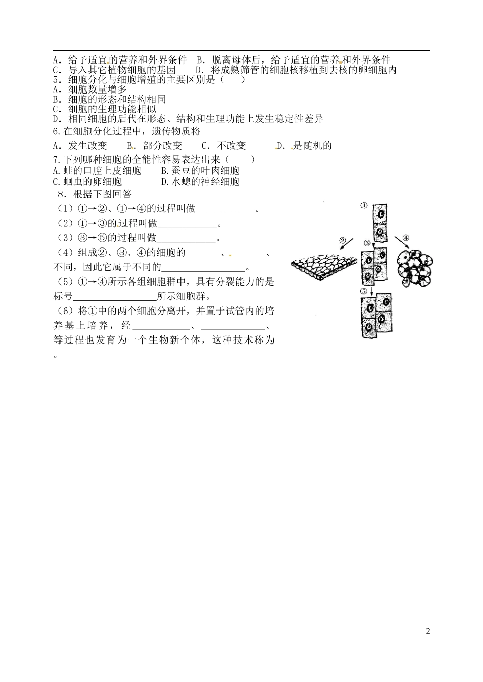 河北省邯郸市临漳县第一中学高一生物 第六章 细胞的分化测试题 新人教版_第2页