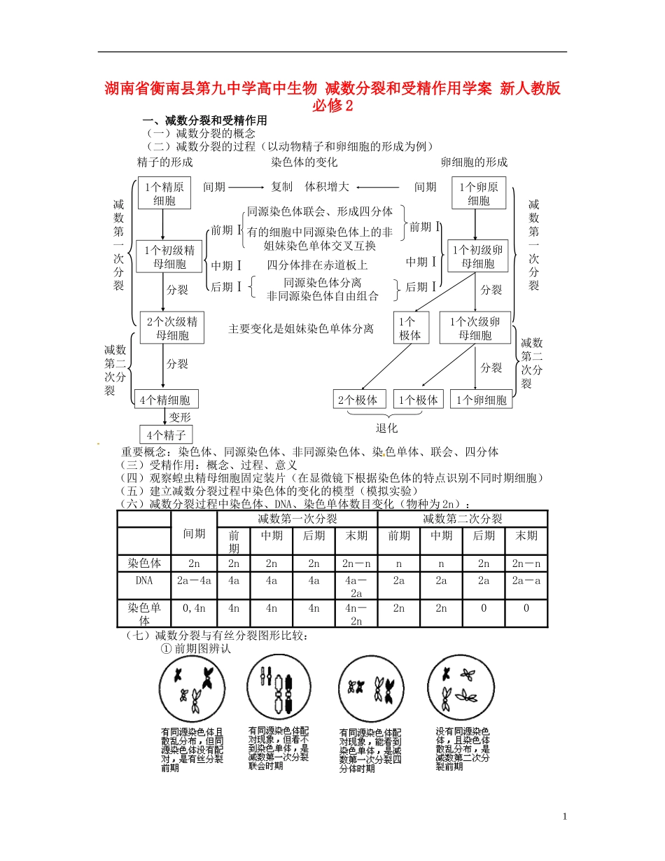 湖南省衡南县第九中学高中生物 减数分裂和受精作用学案 新人教版必修2_第1页