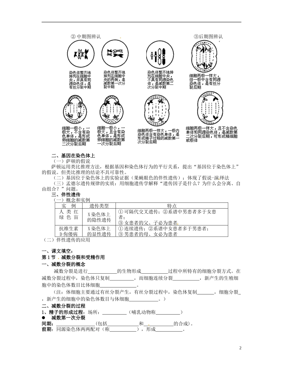 湖南省衡南县第九中学高中生物 减数分裂和受精作用学案 新人教版必修2_第2页