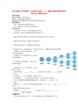 河北省唐山市开滦第二中学高中生物 2.1.2 减数分裂和受精作用导学案 新人教版必修2
