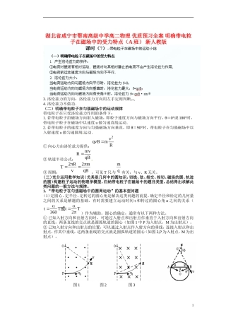 湖北省咸宁市鄂南高级中学高二物理 优质预习全案 明确带电粒子在磁场中的受力特点（A班） 新人教版