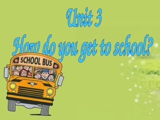 七年级英语下册《Unit3-How-do-you-get-to-school》课件-人教新目标版