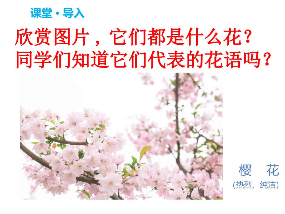 17紫藤萝瀑布_第2页