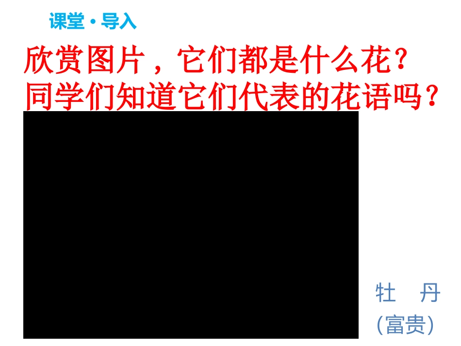 17紫藤萝瀑布_第3页