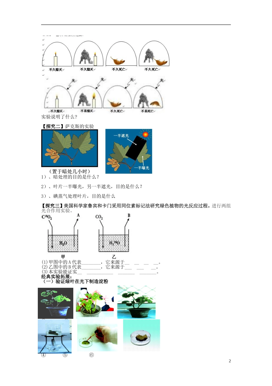 河北省唐山市开滦第二中学高中生物 5.4.2 能量之源 光与光合作用导学案 新人教版必修1_第2页