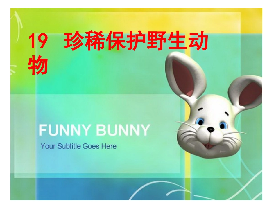 第19课保护珍稀野生动物_第3页