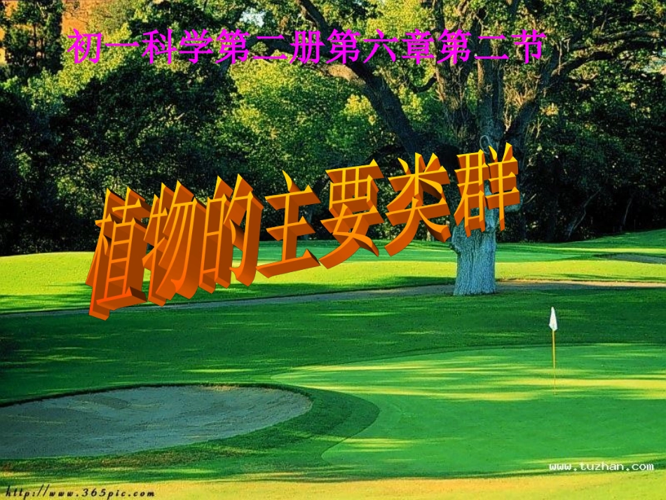 科学6.2植物的主要类群（华师大七年级上）_第1页