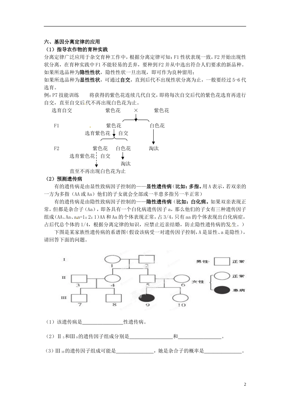 湖南省怀化市湖天中学高中生物 1.1 孟德尔的豌豆杂交实验（一） （第三课时）教学案 新人教版必修2_第2页