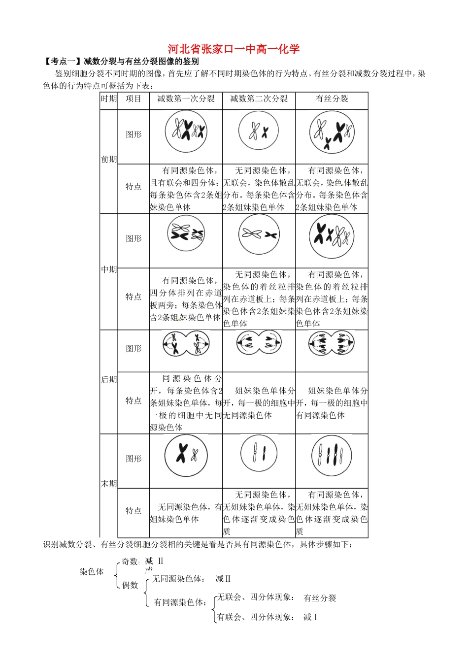 河北省张家口一中高一生物《减数分裂》（二）学案_第1页