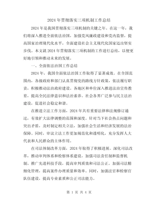 2024年贯彻落实三项机制工作总结