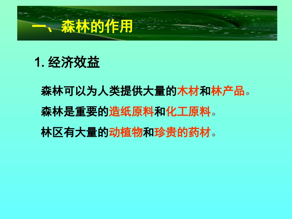 第一节森林的开发和保护(修改)_第3页